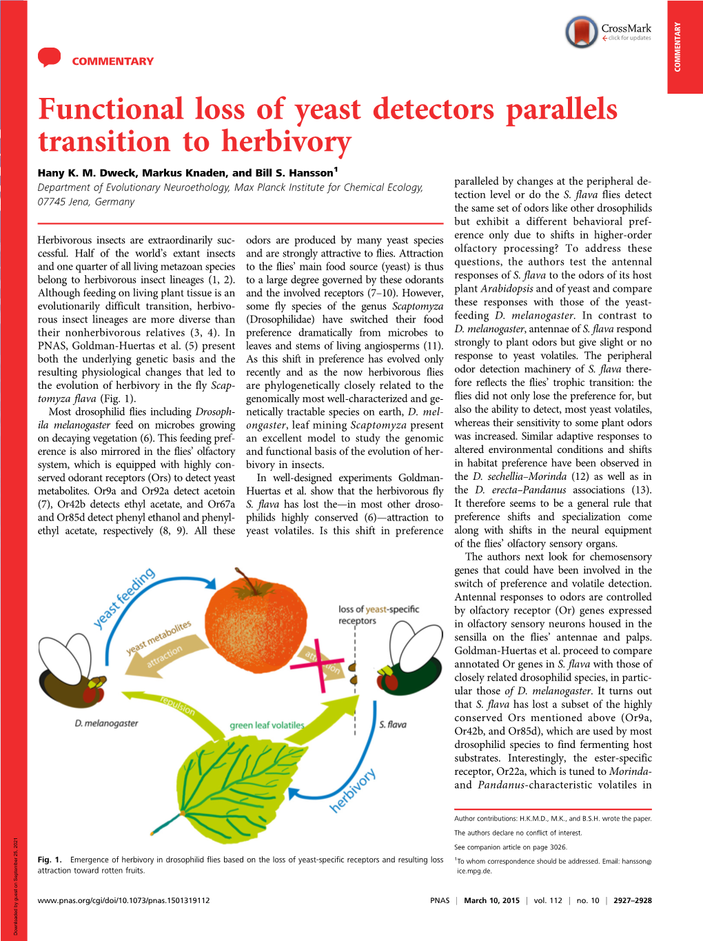 Functional Loss of Yeast Detectors Parallels Transition to Herbivory
