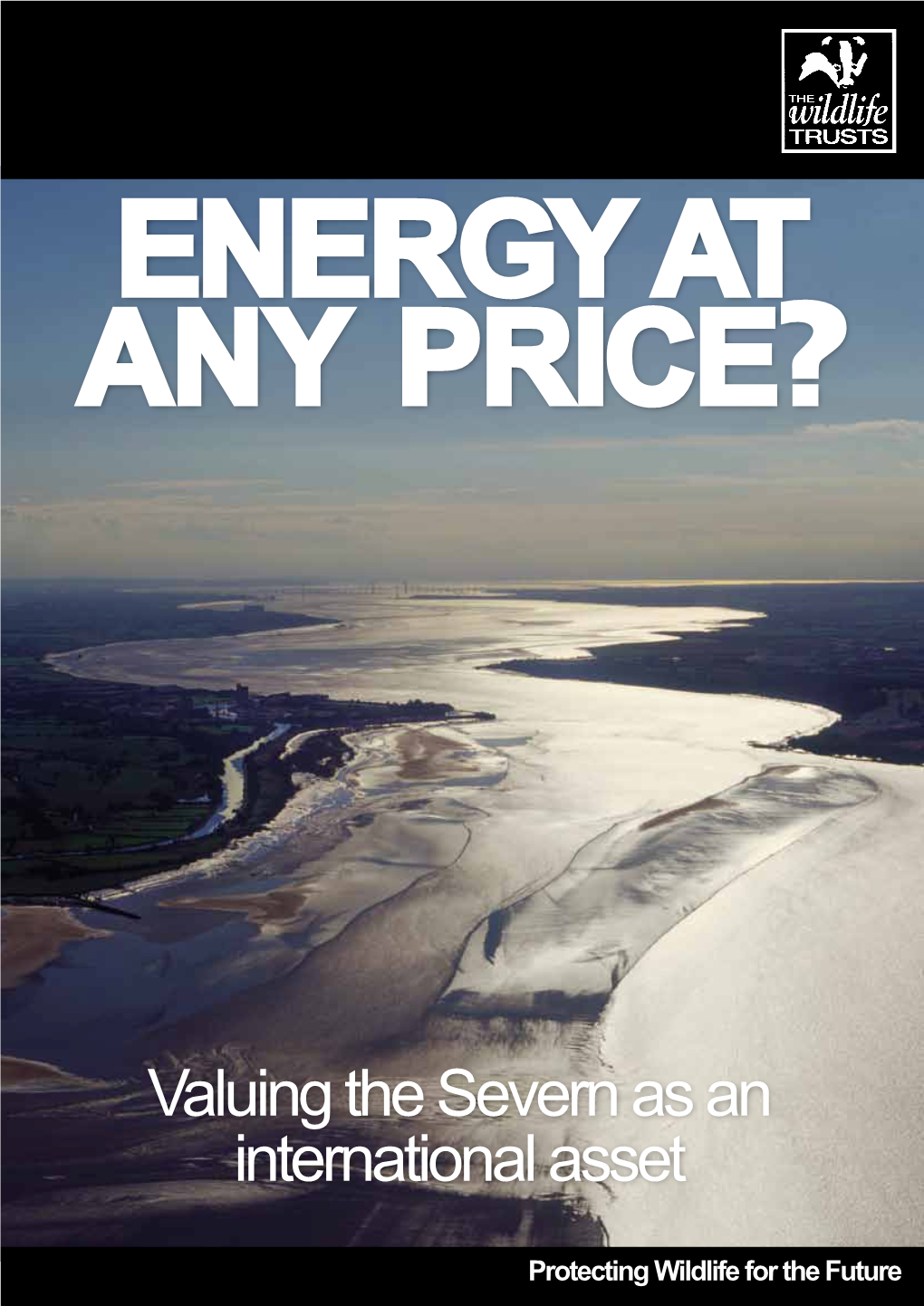 Valuing the Severn As an International Asset