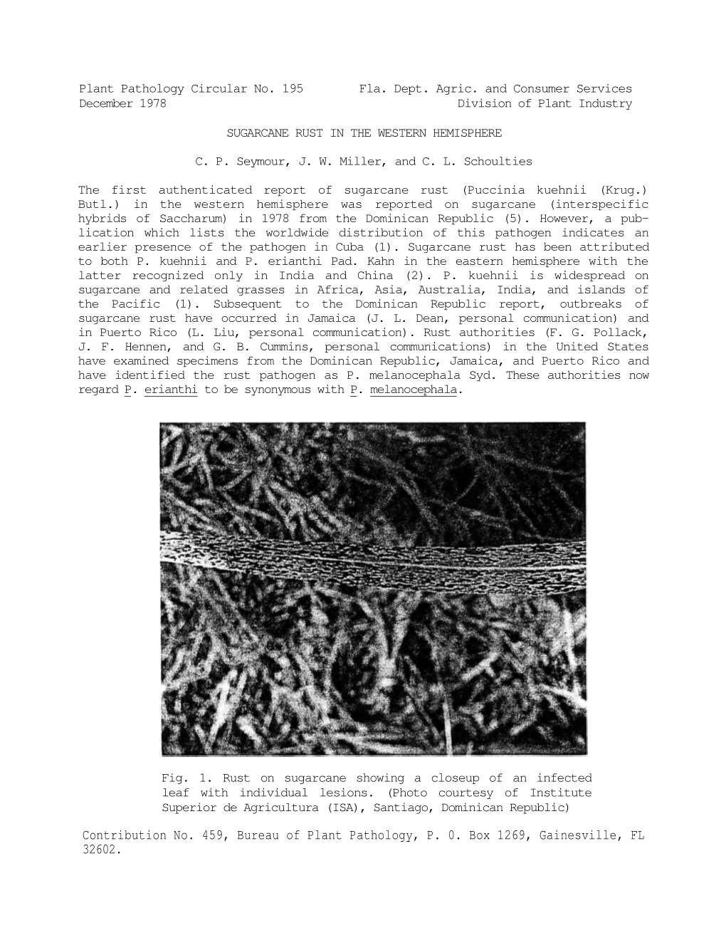 Contribution No. 459, Bureau of Plant Pathology, P. 0. Box 1269, Gainesville, FL 32602