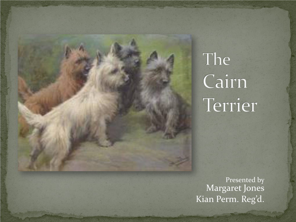 The Cairn Terrier Margaret Jones