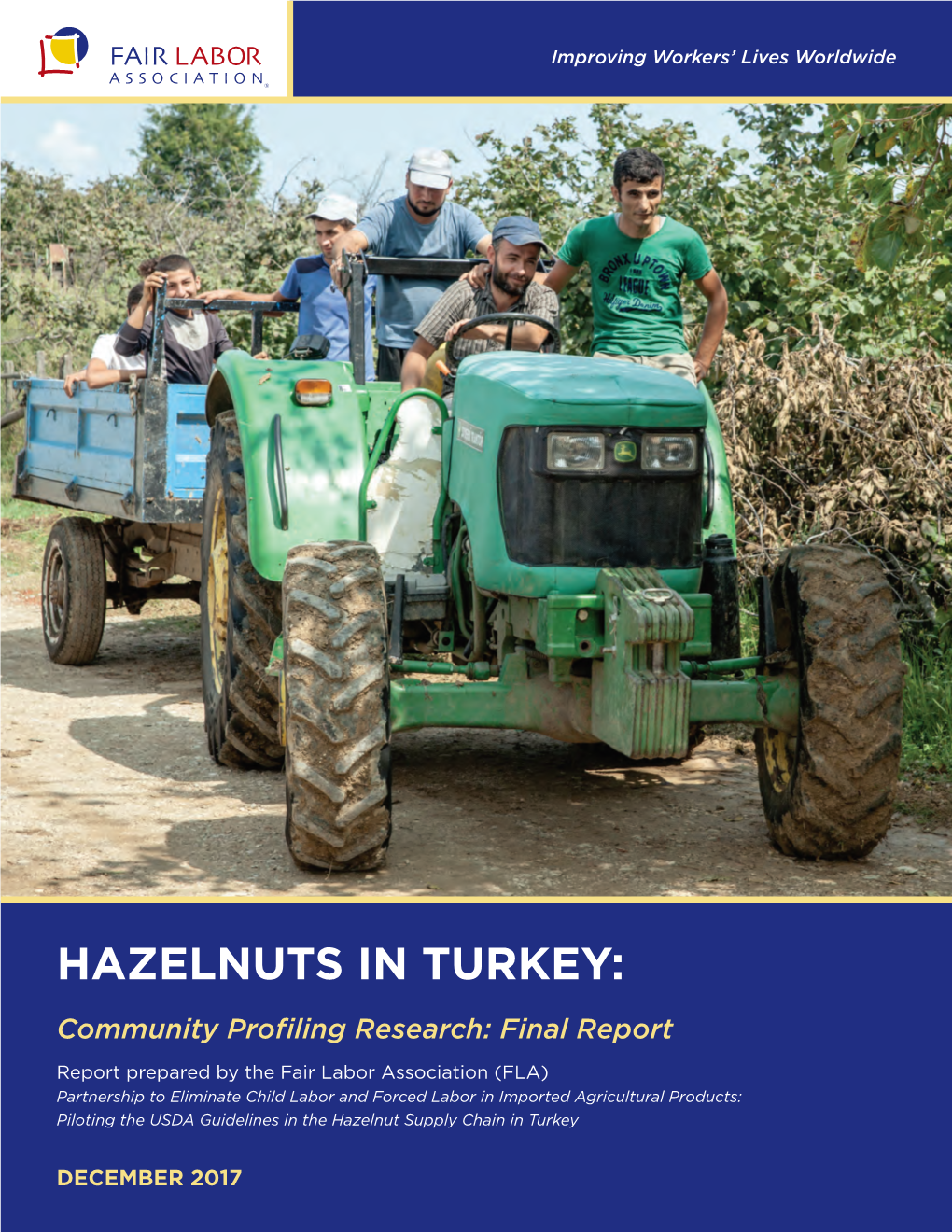 Hazelnuts in Turkey