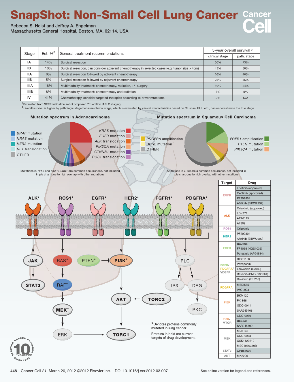 Snapshot: Non-Small Cell Lung Cancer Rebecca S