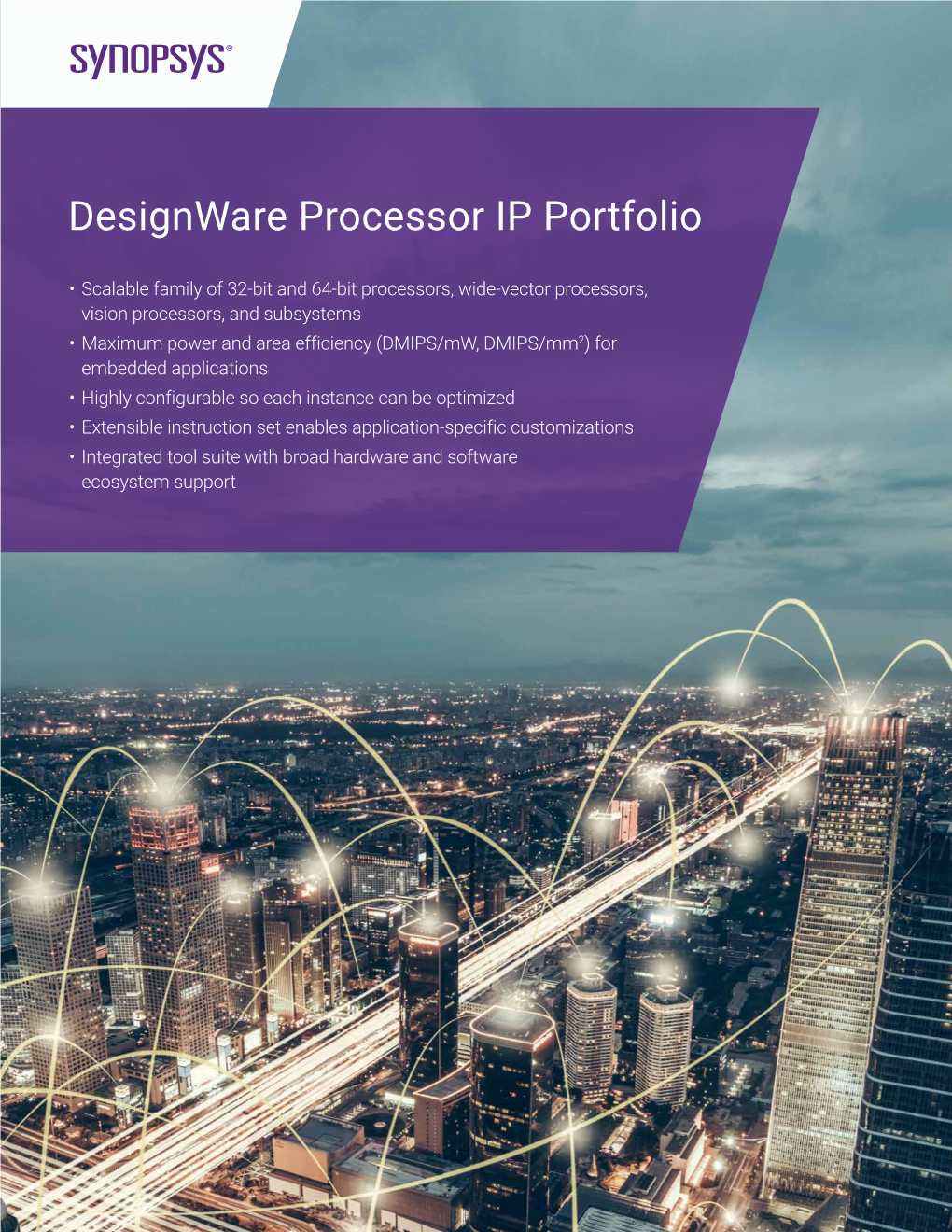 Designware Processor IP Portfolio