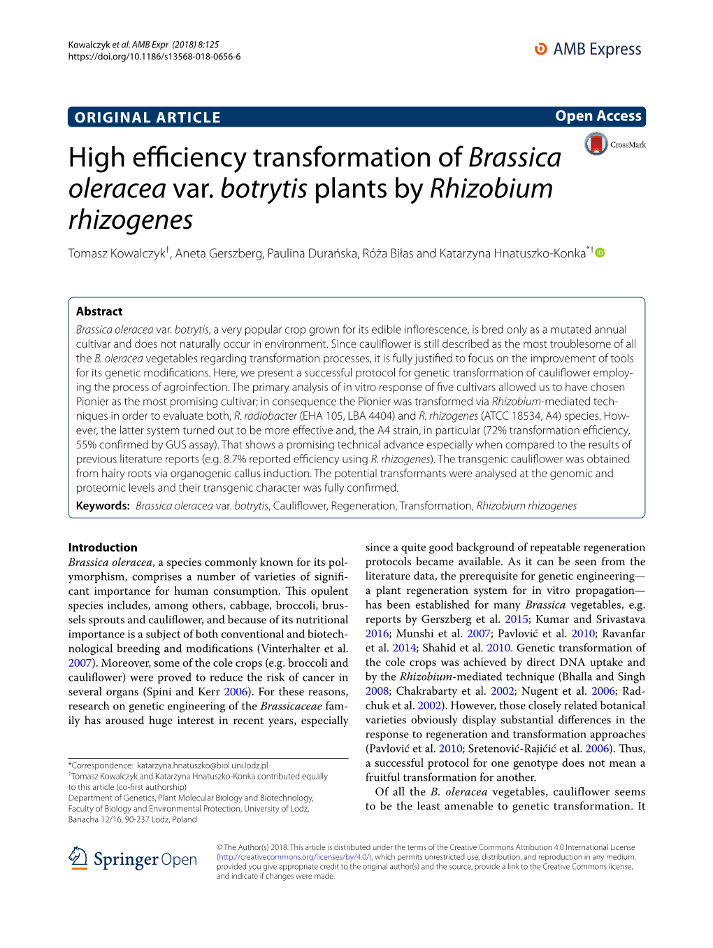 High Efficiency Transformation of Brassica Oleracea Var. Botrytis