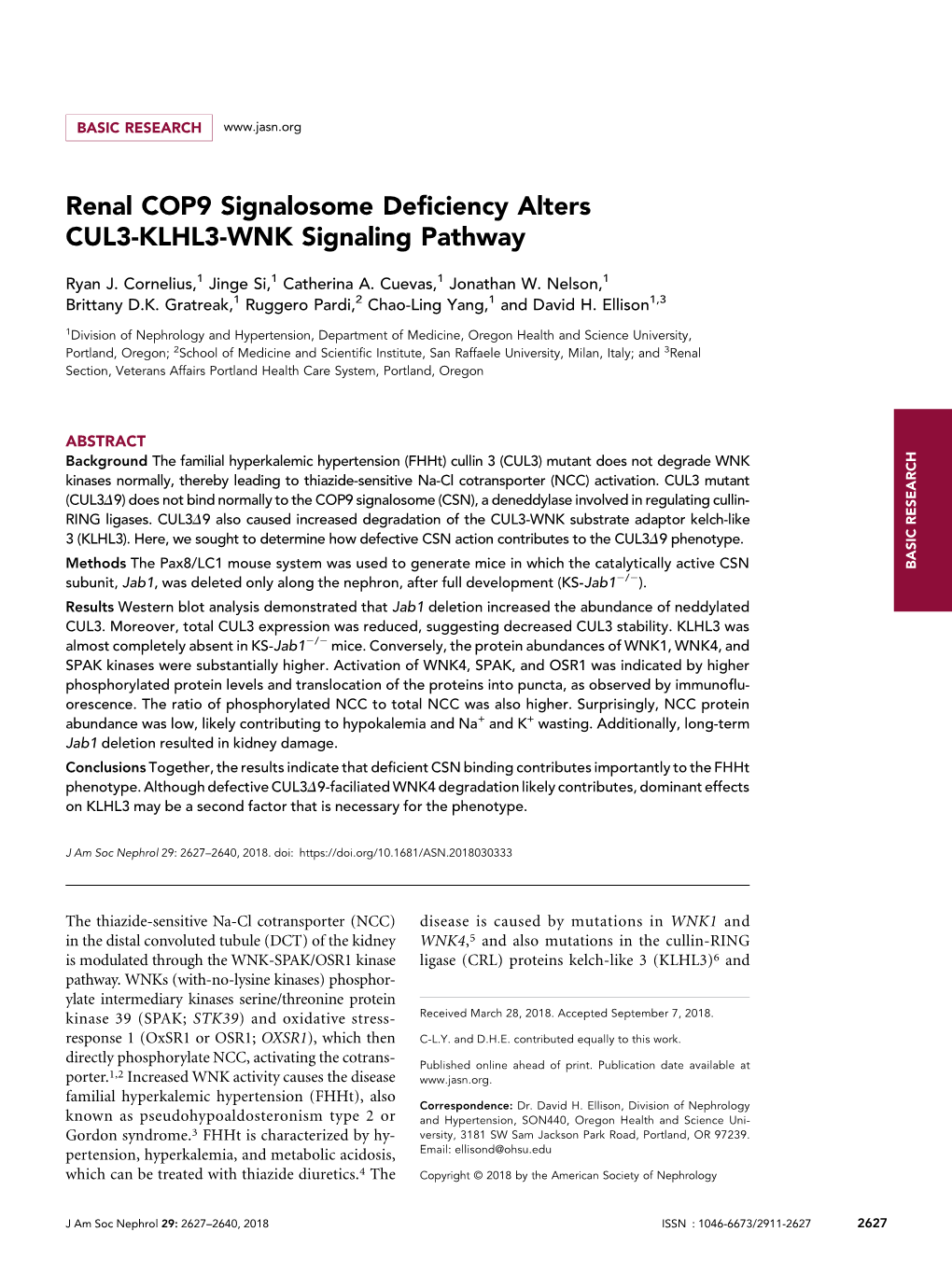 Renal COP9 Signalosome Deficiency Alters CUL3-KLHL3-WNK Signaling