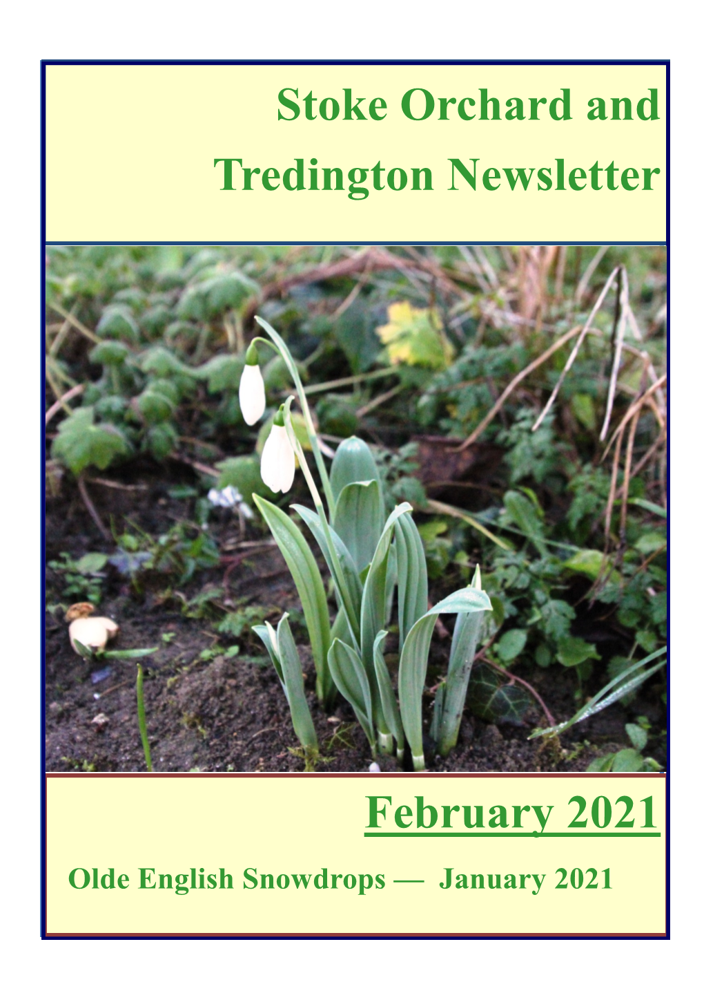 Stoke Orchard and Tredington Newsletter February 2021