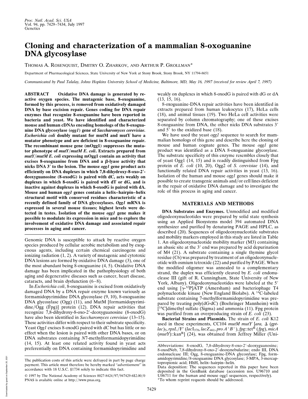 Cloning and Characterization of a Mammalian 8-Oxoguanine DNA Glycosylase