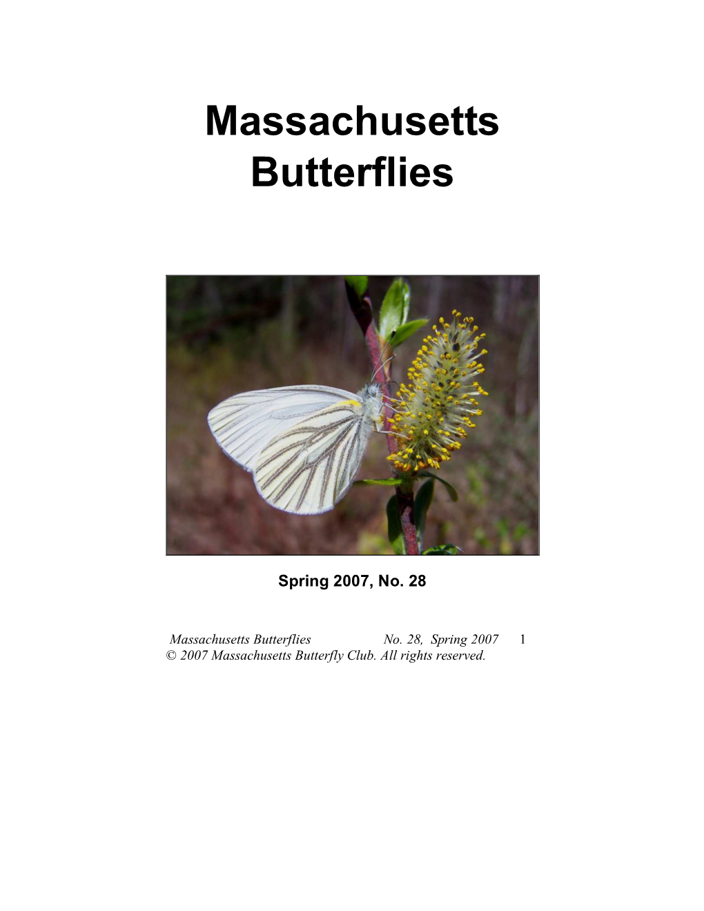 Massachusetts Butterflies