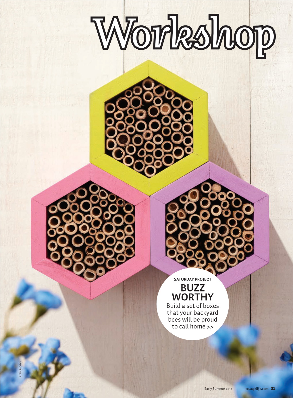 BUZZ WORTHY Build a Set of Boxes That Your Backyard Bees Will Be Proud to Call Home >> LIAM MOGAN