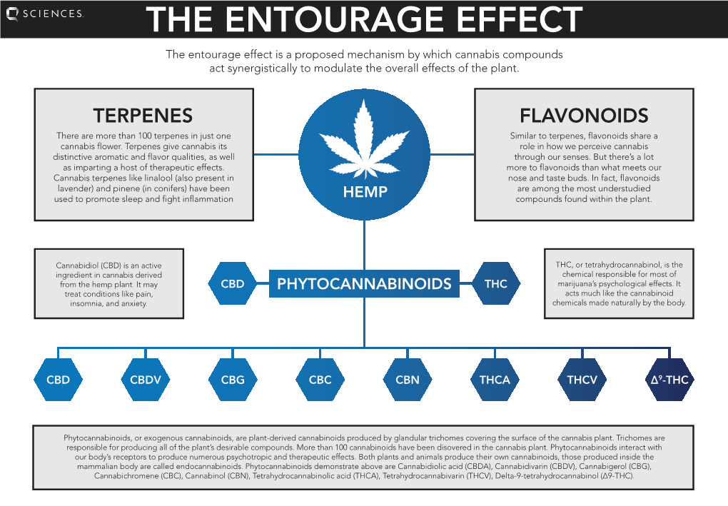 Entourage Effect V1