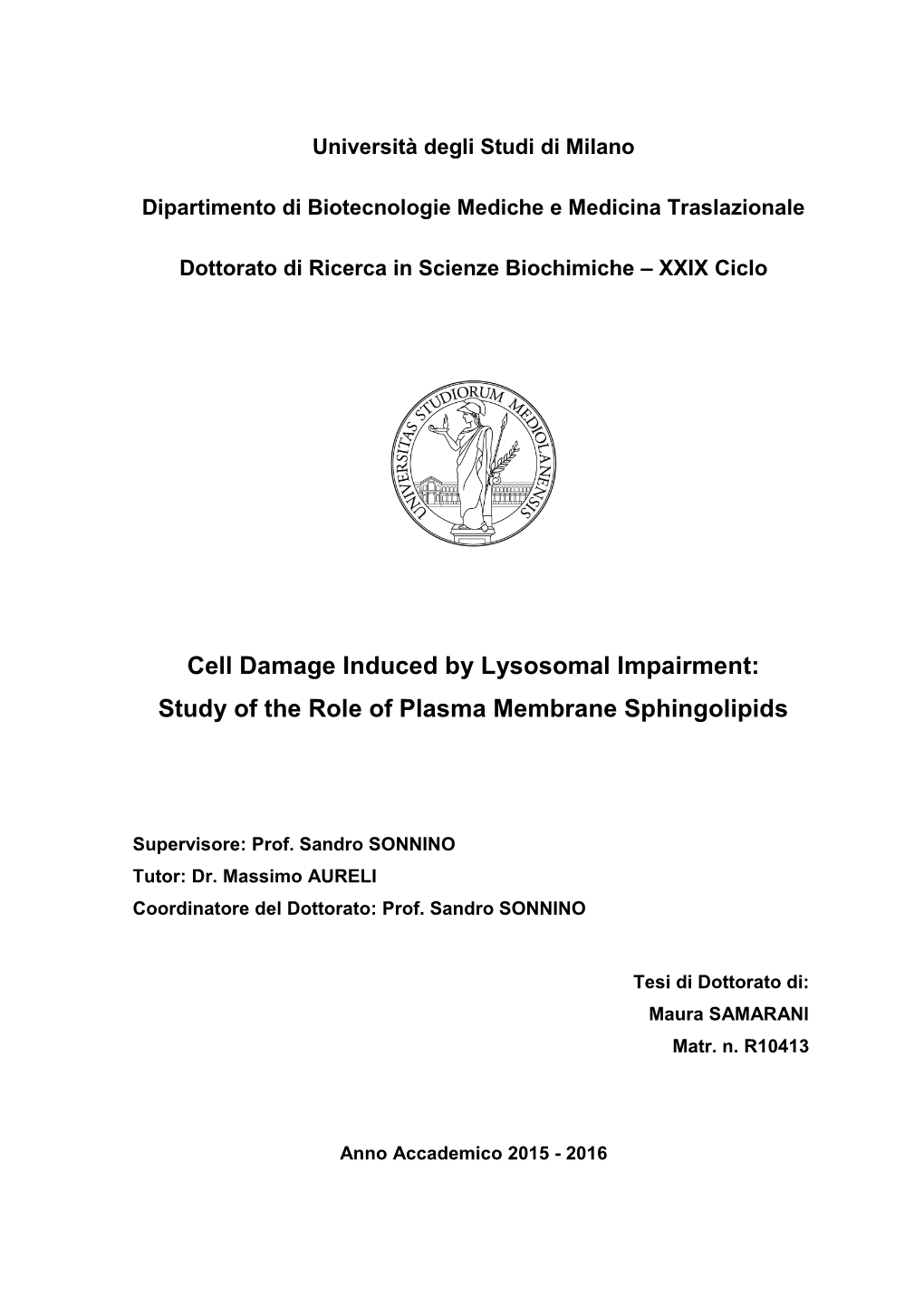 Cell Damage Induced by Lysosomal Impairment: Study of the Role of Plasma Membrane Sphingolipids