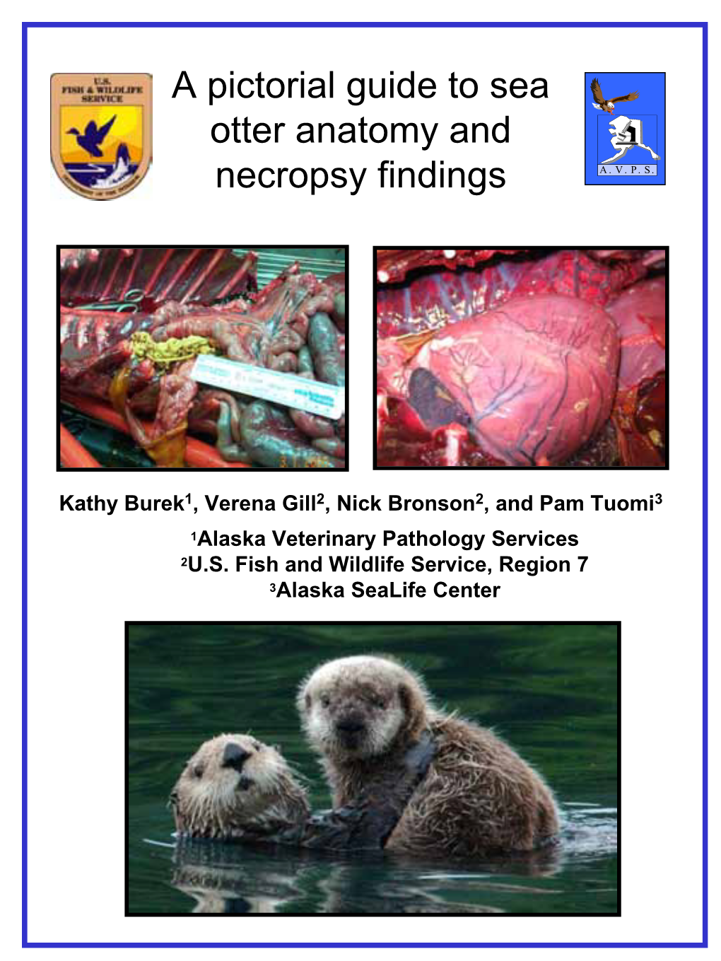 A Pictorial Guide to Sea Otter Anatomy and Necropsy Findings A