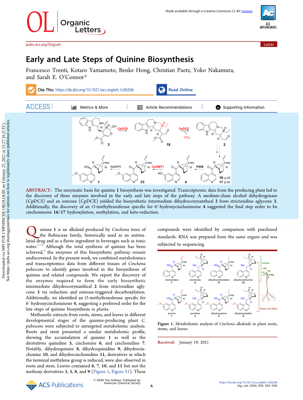 Early and Late Steps of Quinine Biosynthesis Francesco Trenti, Kotaro Yamamoto, Benke Hong, Christian Paetz, Yoko Nakamura, and Sarah E