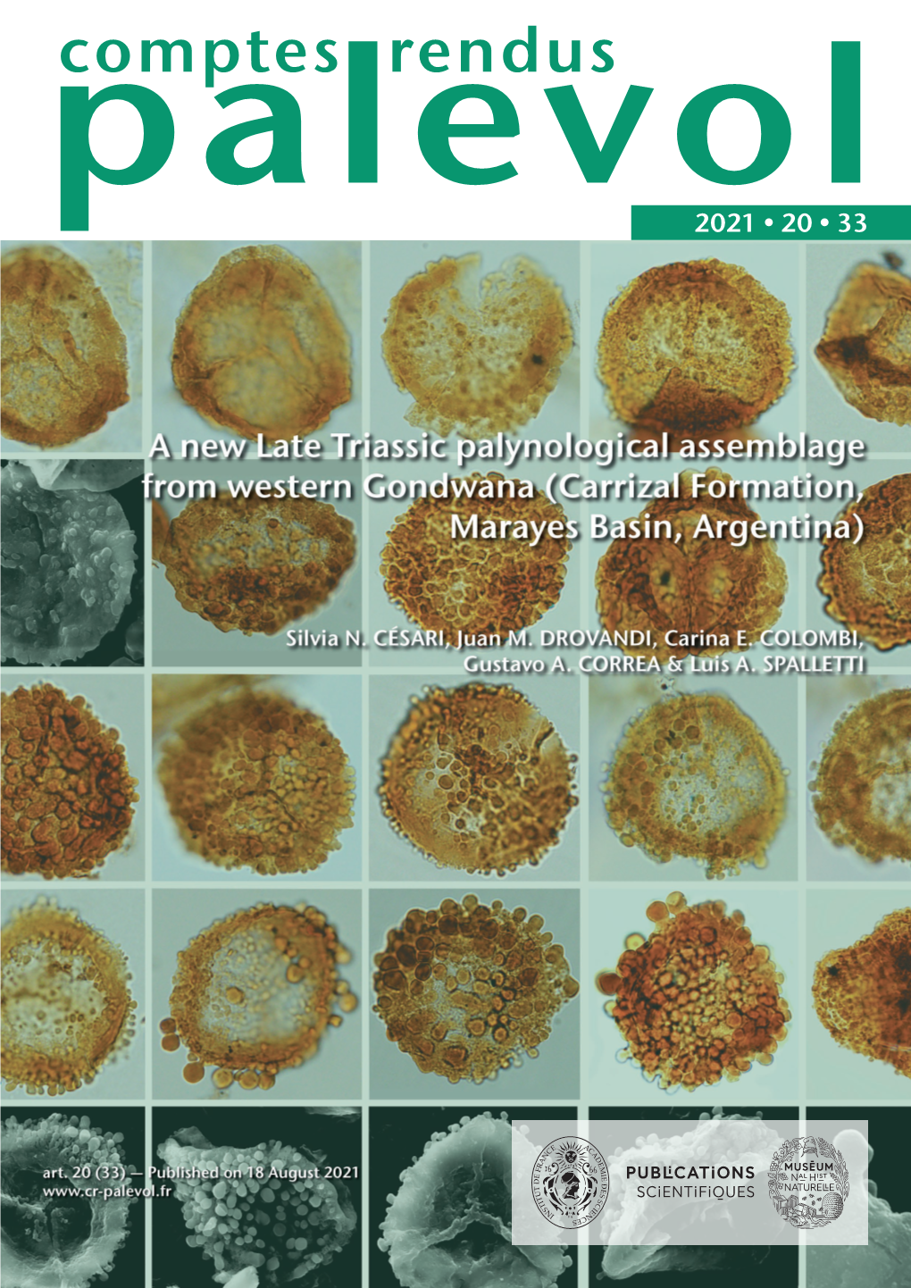 A New Late Triassic Palynological Assemblage from Western Gondwana (Carrizal Formation, Marayes Basin, Argentina)