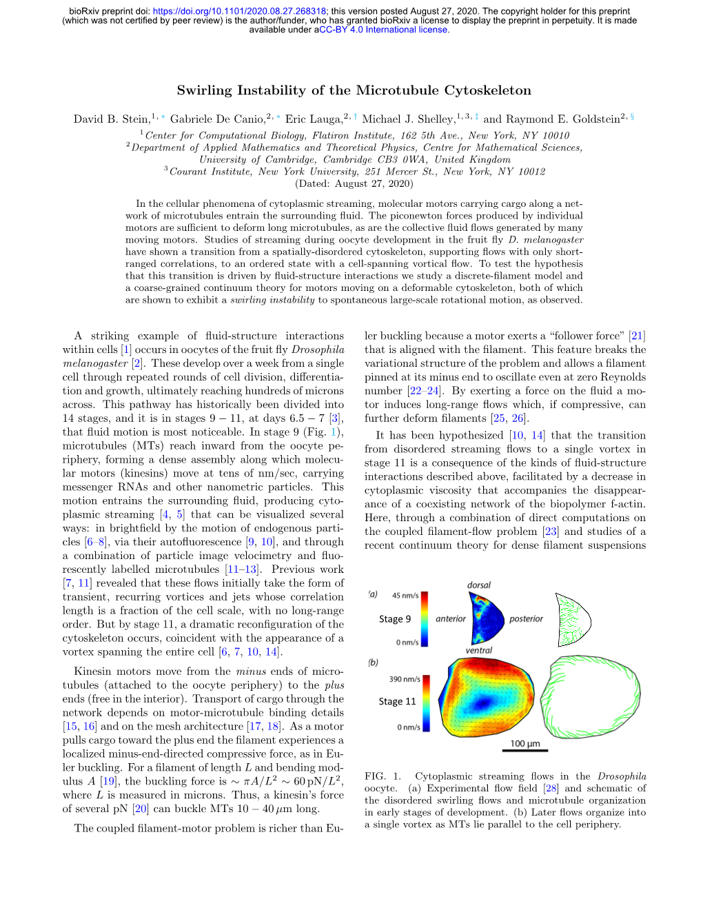 Swirling Instability of the Microtubule Cytoskeleton