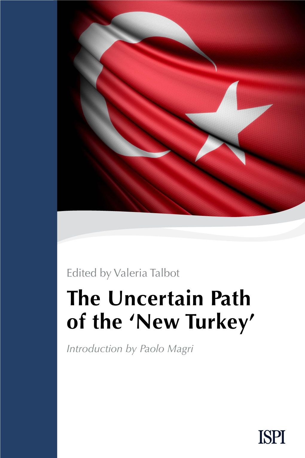 The Uncertain Path of the 'New Turkey'