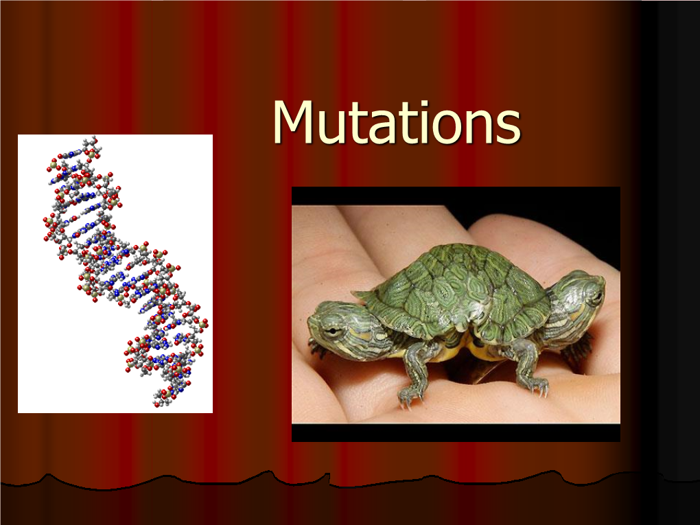 Mutations Review