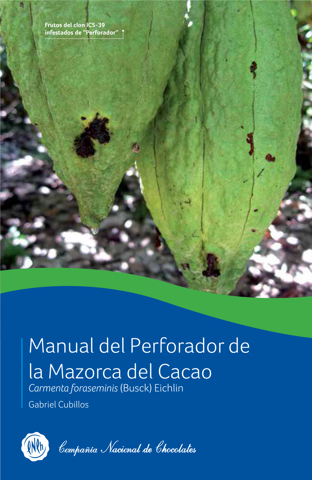 Manual Del Perforador De La Mazorca Del Cacao, Carmenta Foraseminis (Busck) Eichlin Frutos Del Clon ICS-39 Infestados De “Perforador”