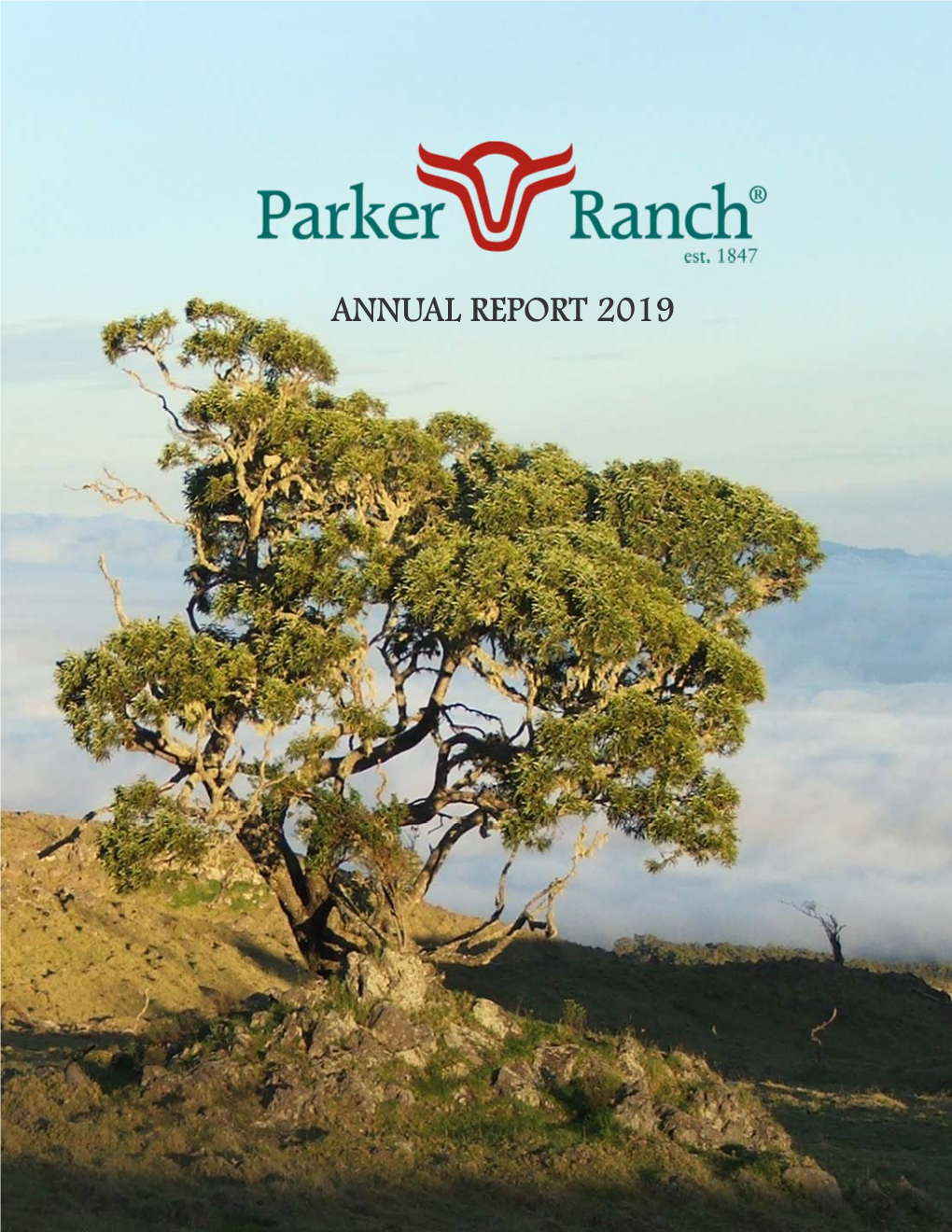 2019 Annual Report