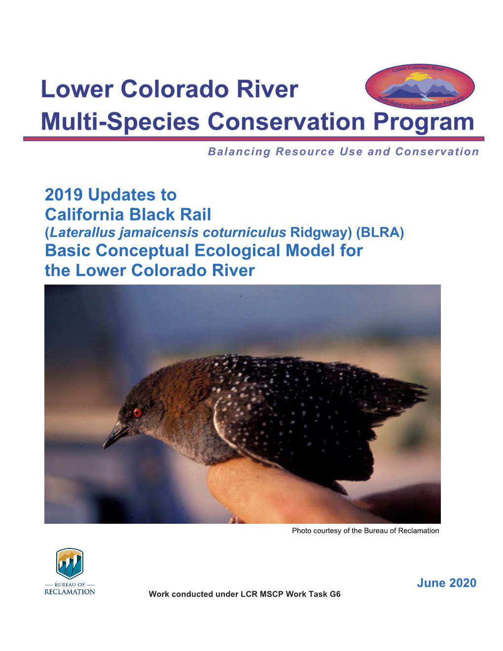 2019 Updates to California Black Rail (Laterallus Jamaicensis Coturniculus Ridgway) (BLRA) Basic Conceptual Ecological Model for the Lower Colorado River