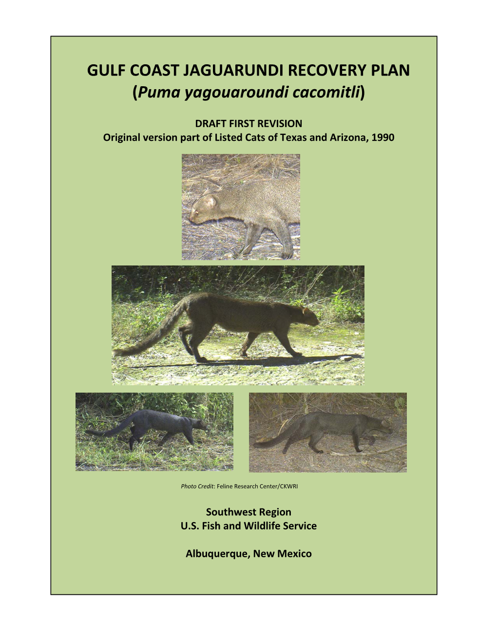 GULF COAST JAGUARUNDI RECOVERY PLAN (Puma Yagouaroundi Cacomitli)