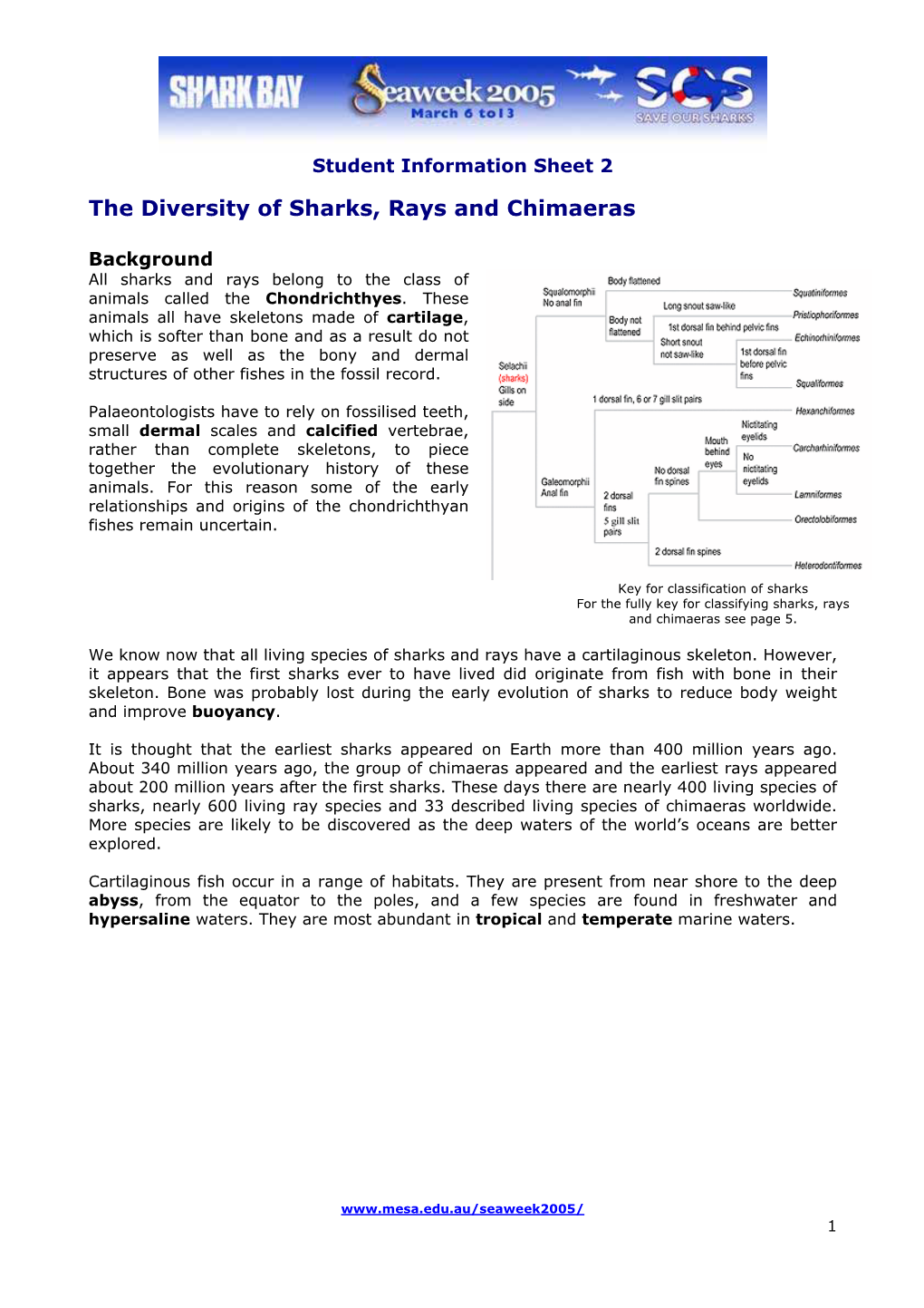 The Diversity of Sharks and Rays