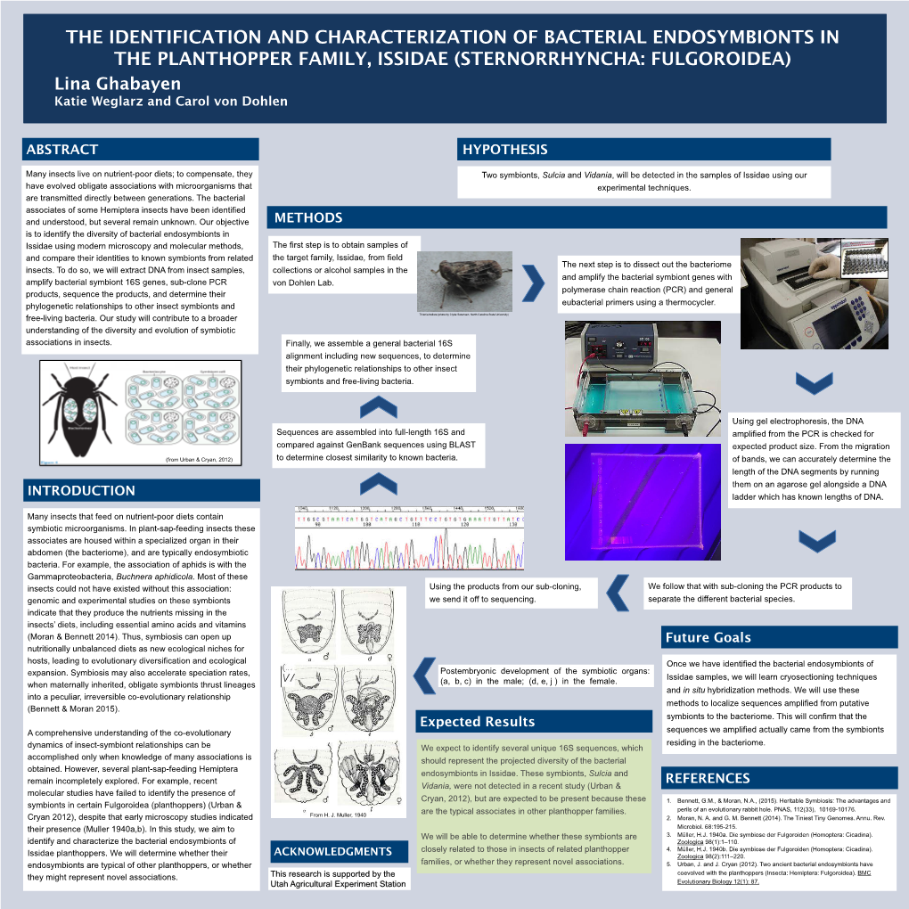 The Identification and Characterization of Bacterial