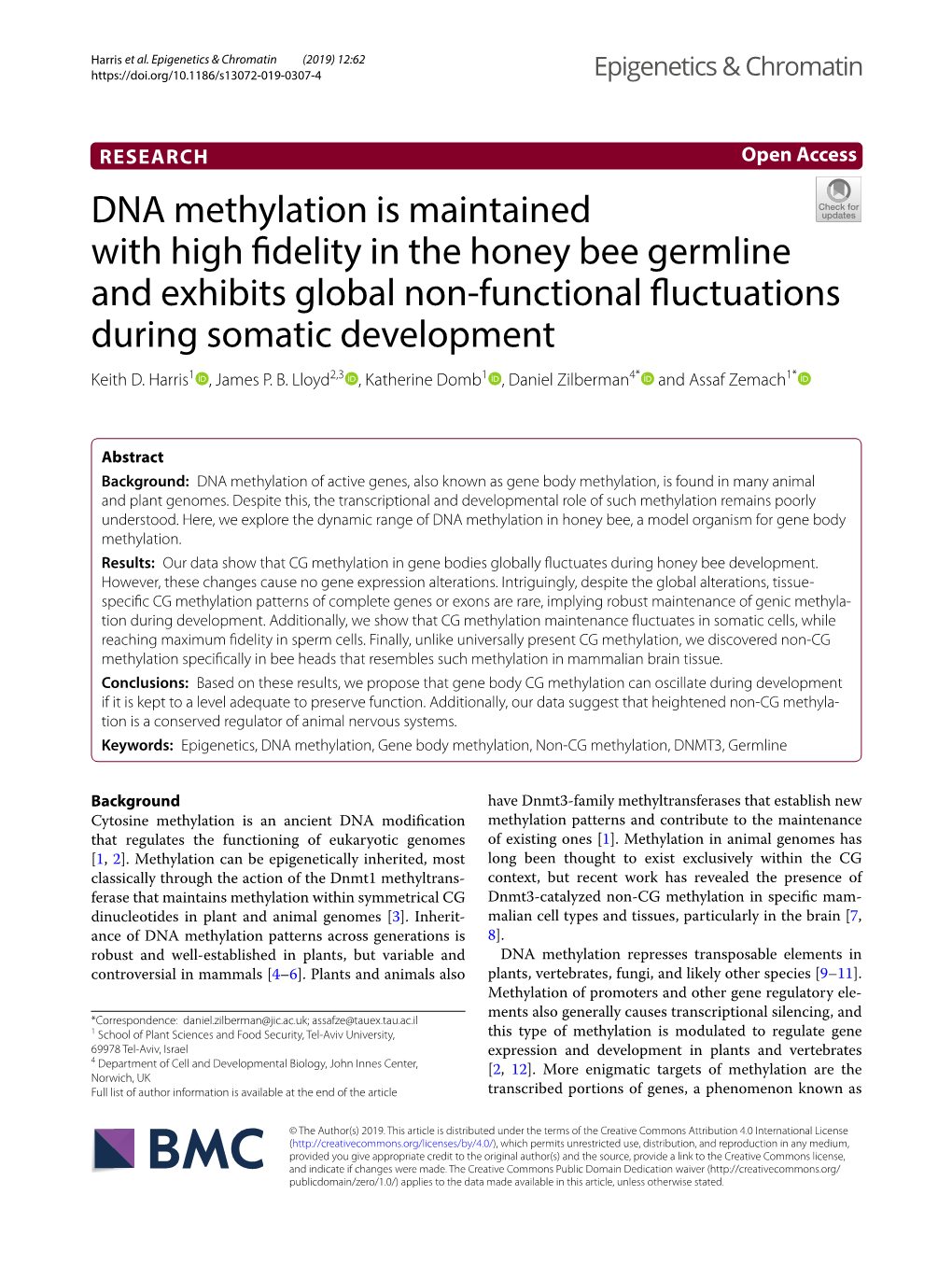 DNA Methylation Is Maintained with High Fidelity in the Honey Bee