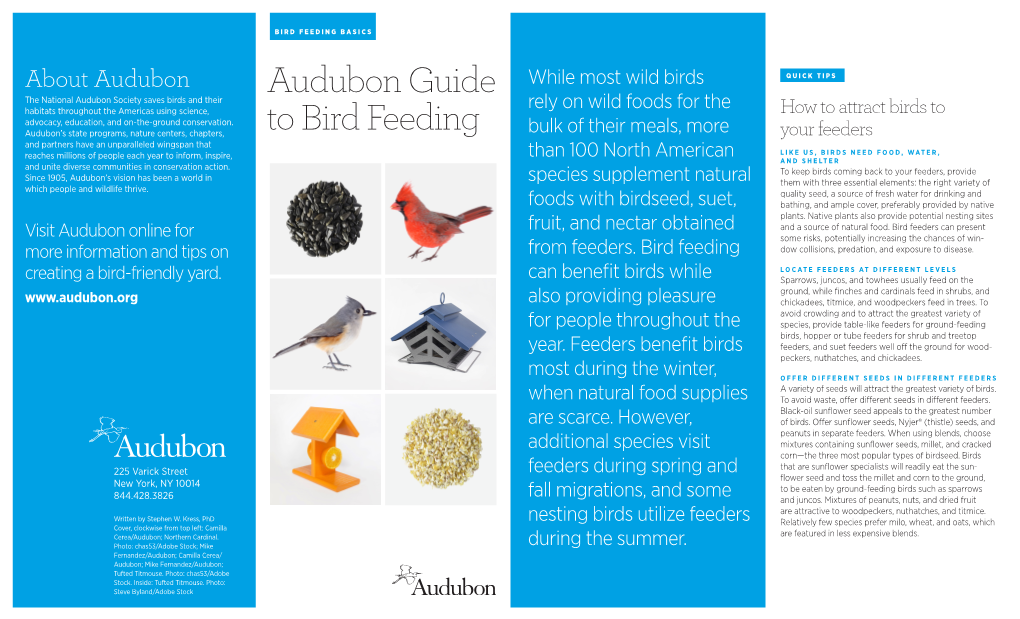 Audubon Guide to Bird Feeding