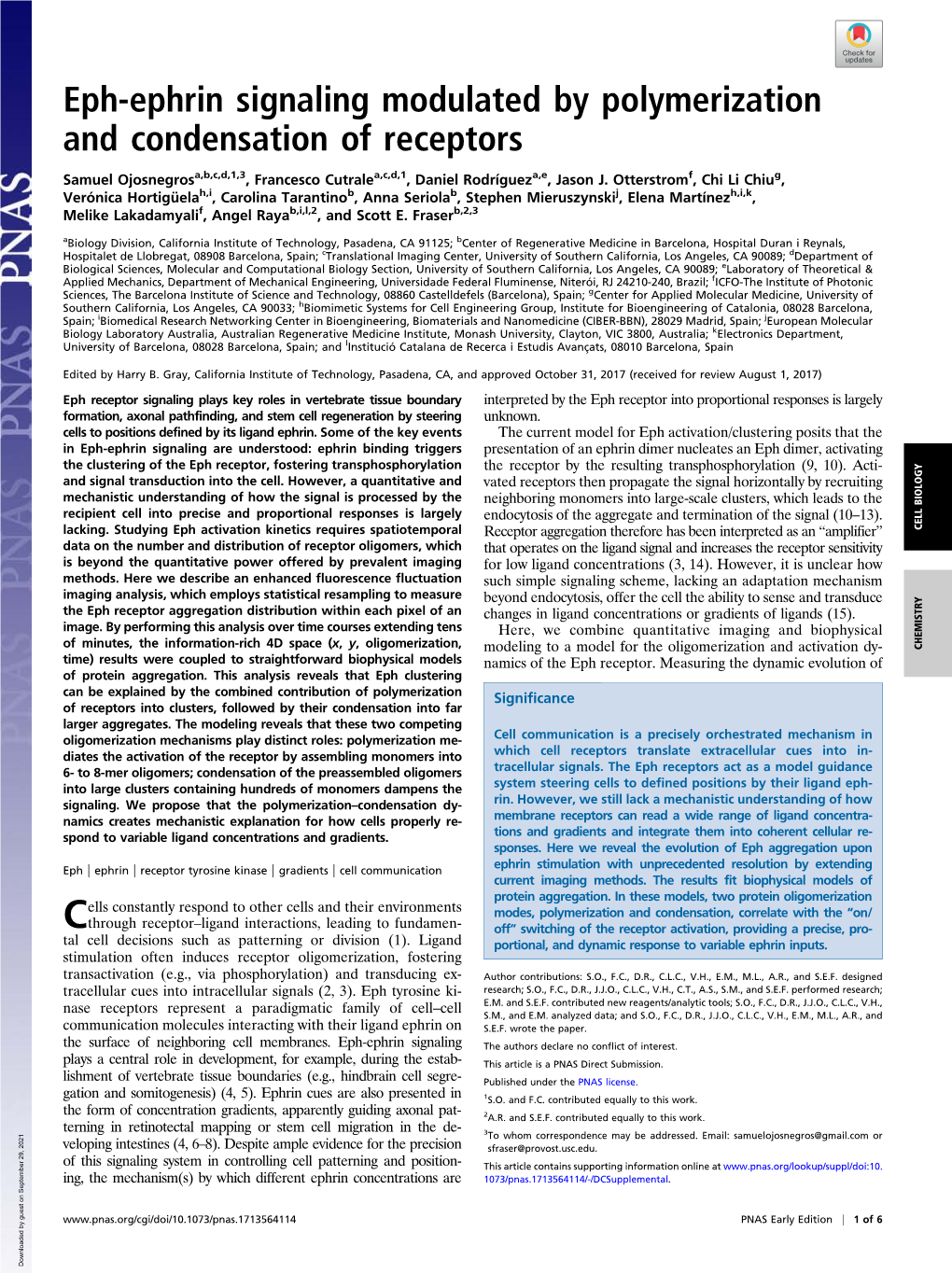 Eph-Ephrin Signaling Modulated by Polymerization and Condensation of Receptors