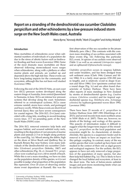 Report on a Stranding of the Dendrochirotid Sea Cucumber &lt;Em
