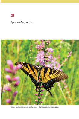 Species Accounts