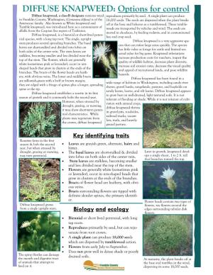 DIFFUSE KNAPWEED: Options for Control Diffuse Knapweed, a Class-B Designate Noxious Weed Reproduces Primarily by Seed