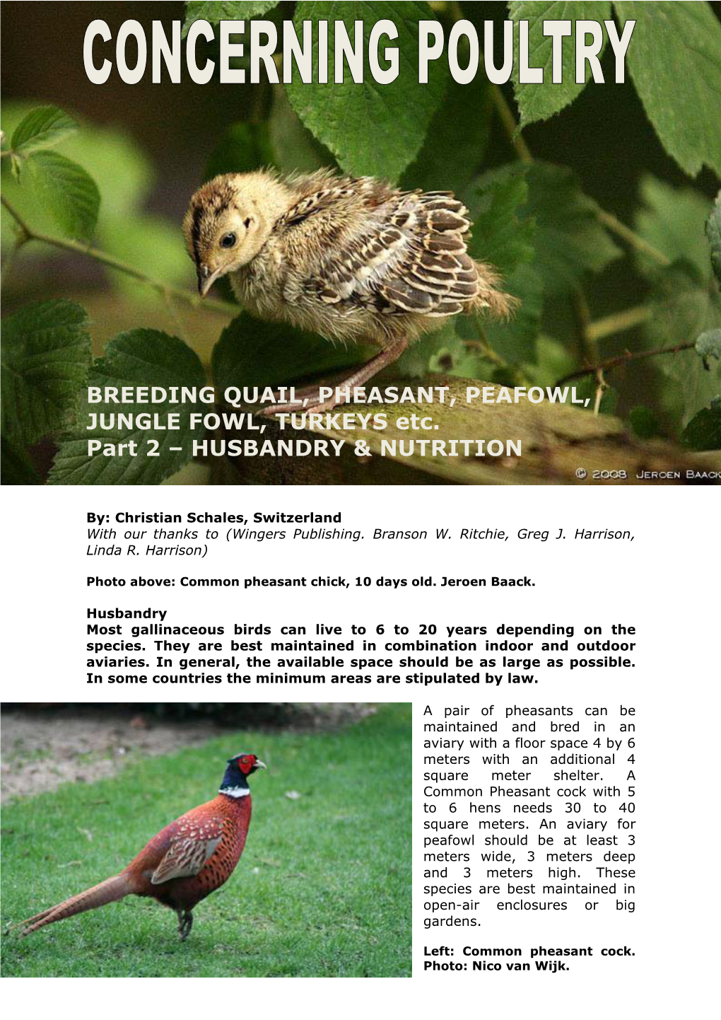 BREEDING QUAIL, PHEASANT, PEAFOWL, JUNGLE FOWL, TURKEYS Etc