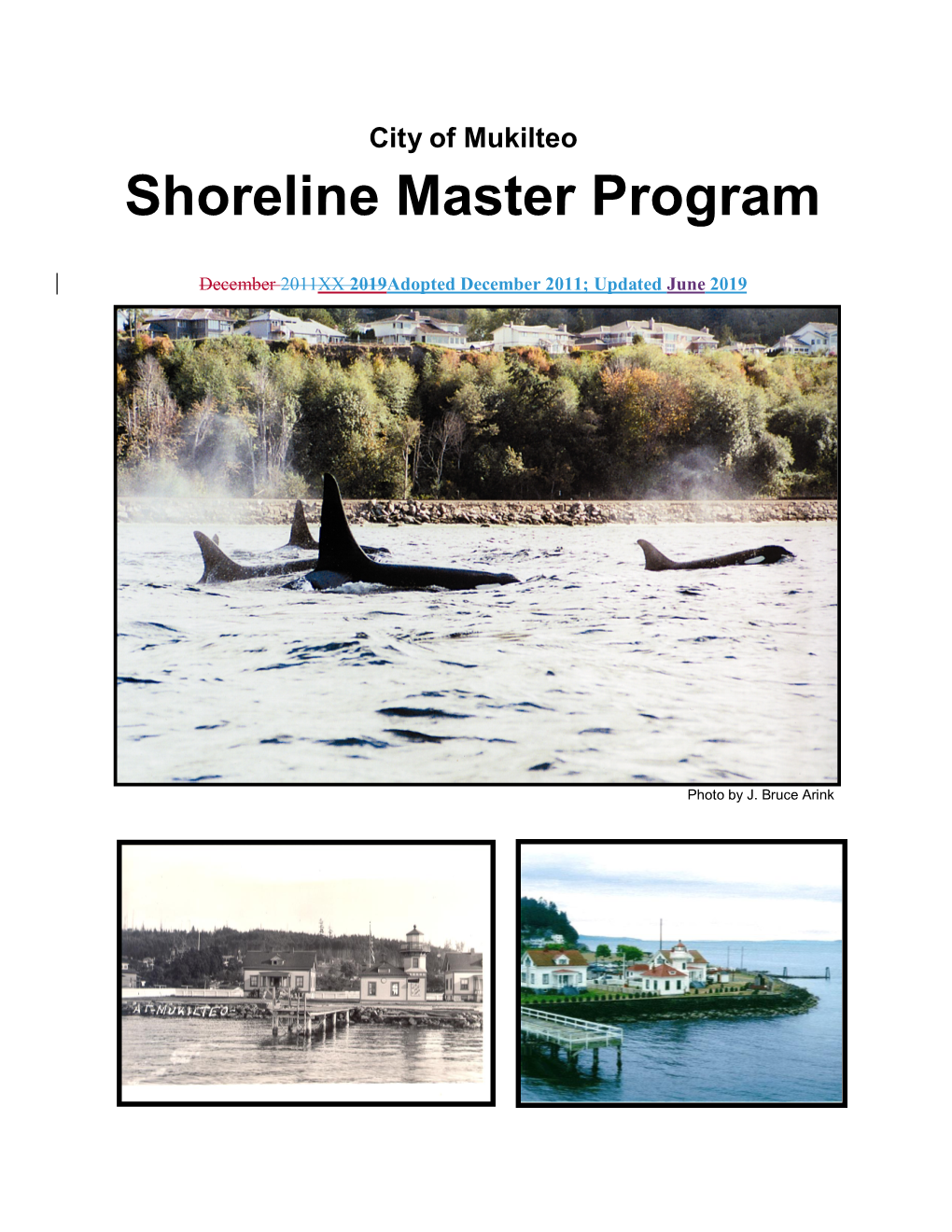 Shoreline Master Program