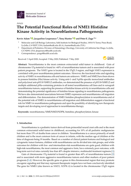 The Potential Functional Roles of NME1 Histidine Kinase Activity in Neuroblastoma Pathogenesis