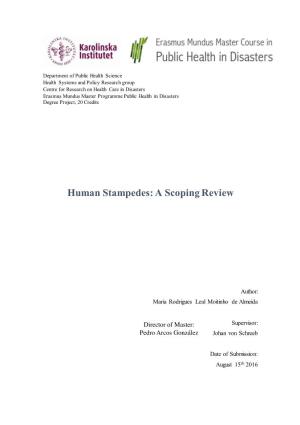 Human Stampedes: a Scoping Review