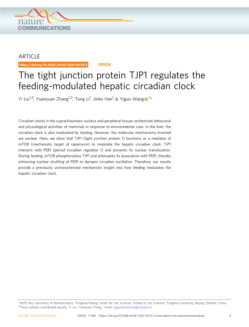 The Tight Junction Protein TJP1 Regulates the Feeding-Modulated Hepatic Circadian Clock