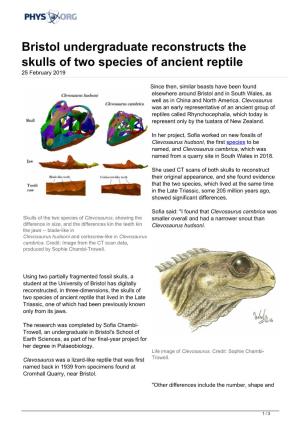 Bristol Undergraduate Reconstructs the Skulls of Two Species of Ancient Reptile 25 February 2019