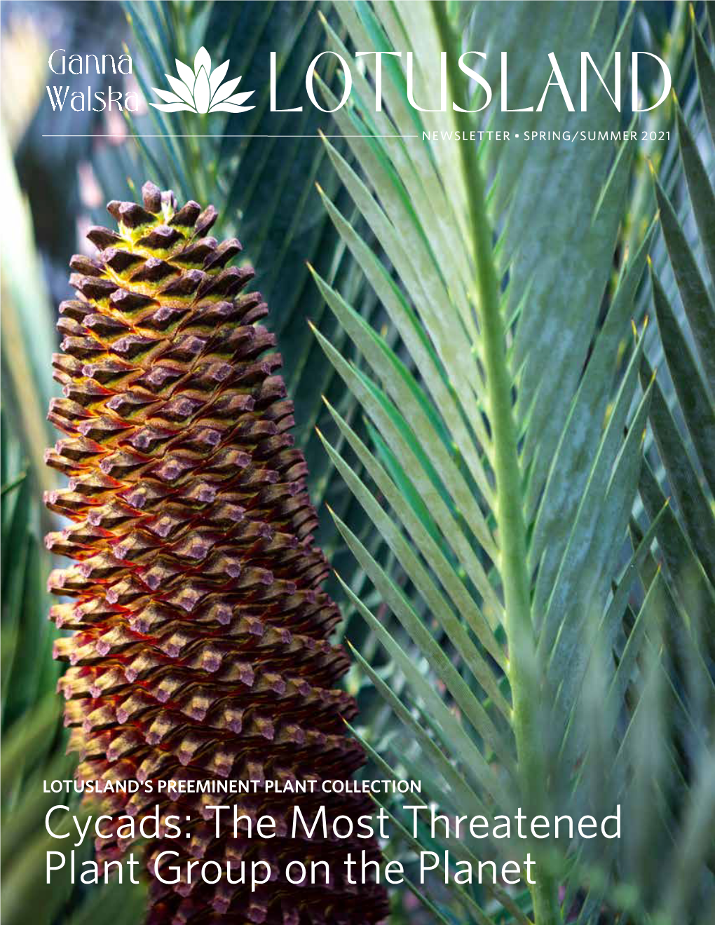 Cycads: the Most Threatened Plant Group on the Planet LETTER from the EXECUTIVE DIRECTOR