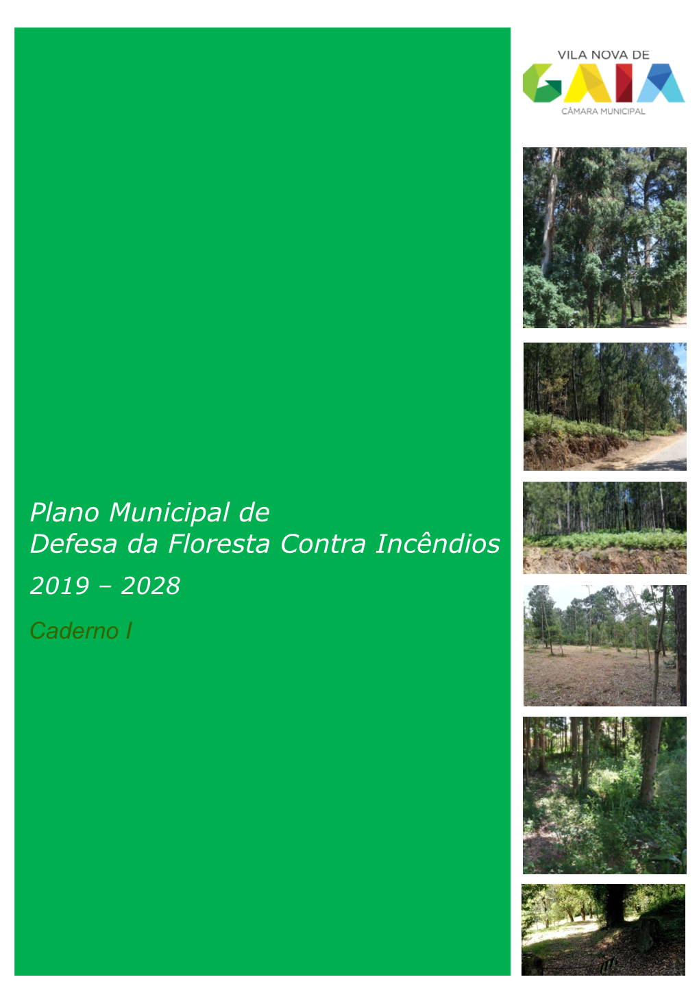 Plano Municipal De Defesa Da Floresta Contra Incêndios