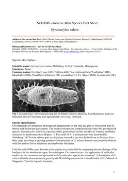 Invasive Alien Species Fact Sheet Gyrodactylus Salaris