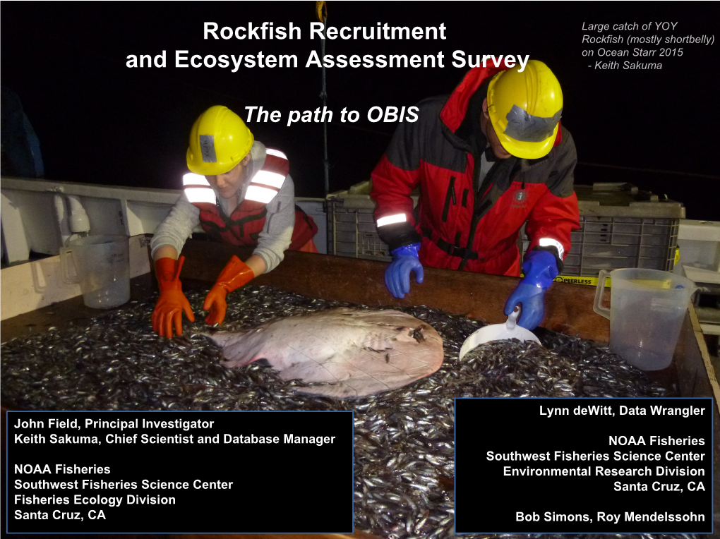 Rockfish Recruitment and Ecosystem Assessment Survey (Catch Data)