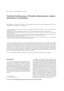 Functional Feeding Groups of Brazilian Ephemeroptera Nymphs : Ultrastructure of Mouthparts