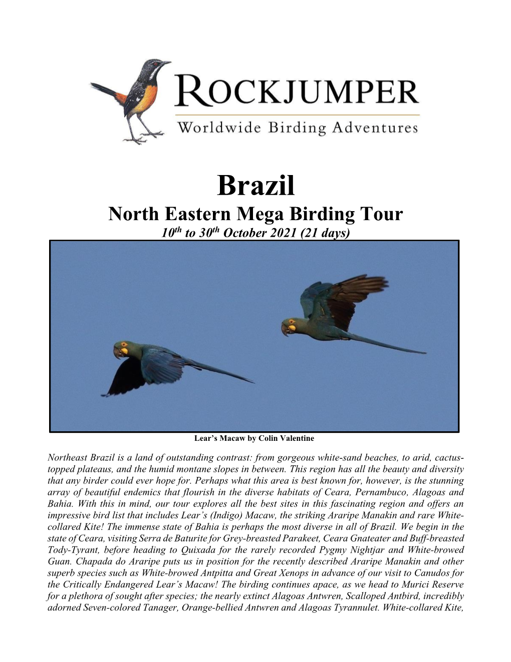 Brazil North Eastern Mega Birding Tour 10Th to 30Th October 2021 (21 Days)