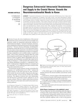 Dangerous Extracranial–Intracranial Anastomoses and Supply to the Cranial Nerves: Vessels the REVIEW ARTICLE Neurointerventionalist Needs to Know