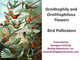 Ornithophily & Ornithophilous