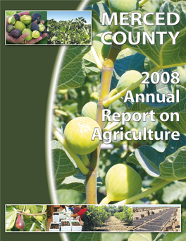 Figs in Merced County Compared to the 92,000 Acres of Almonds in Merced County, the Modest 2,000 Acres of Figs Seems Insignificant