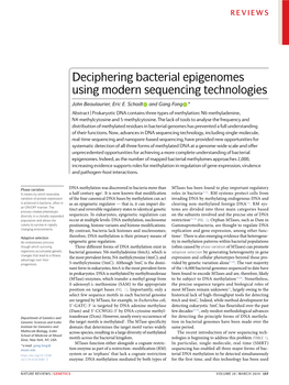 Deciphering Bacterial Epigenomes Using Modern Sequencing Technologies