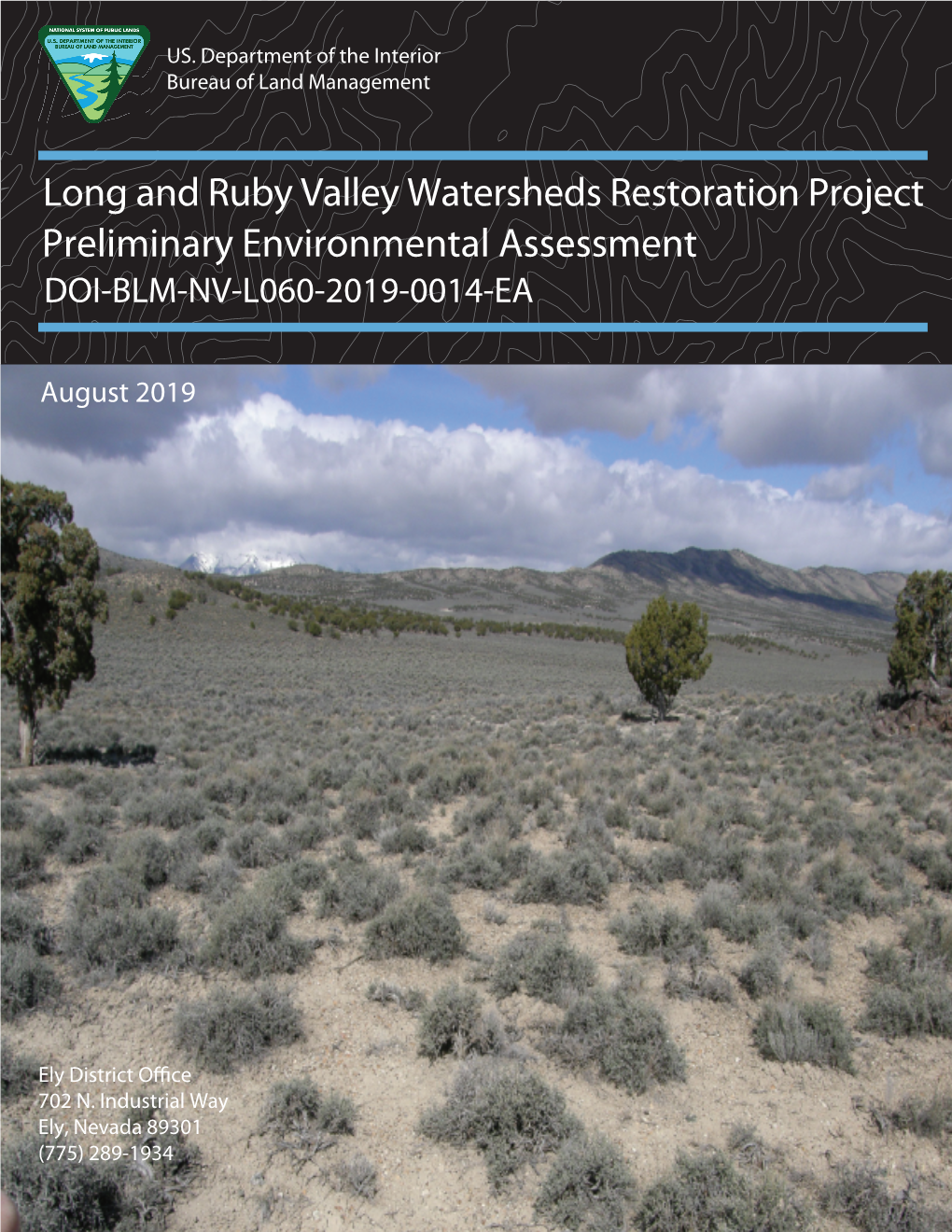 Long and Ruby Valley Watersheds Preliminary Environmental Assessment